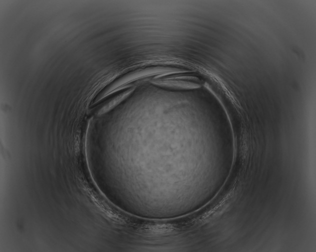 X0000090890833200708031050