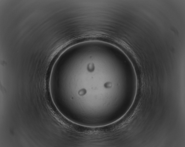 X0000090890834200708031050