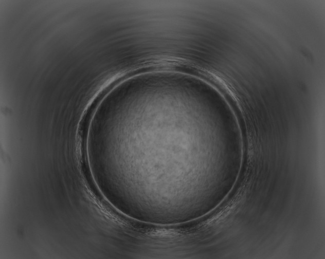 X0000090890835200708031050