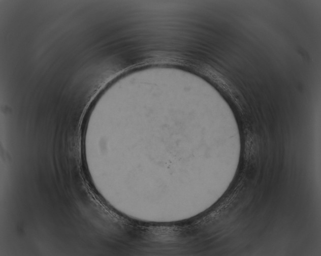 X0000090890836200708031050