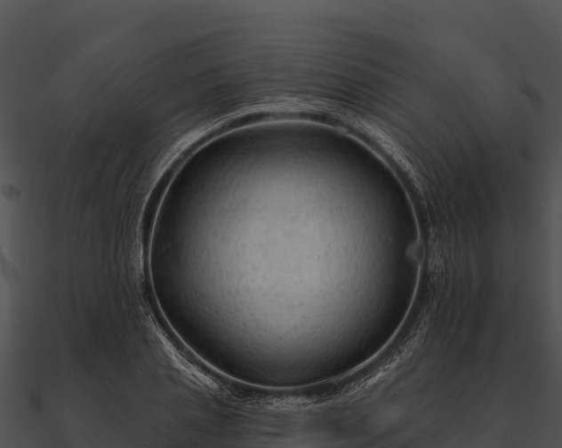 X0000090890837200708031050