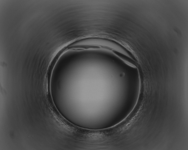 X0000090890838200708031050