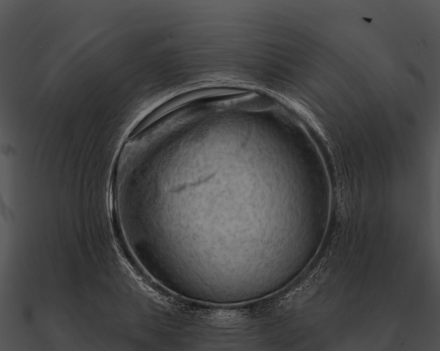 X0000090890839200708031050