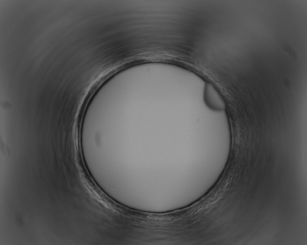 X0000090890840200708031050