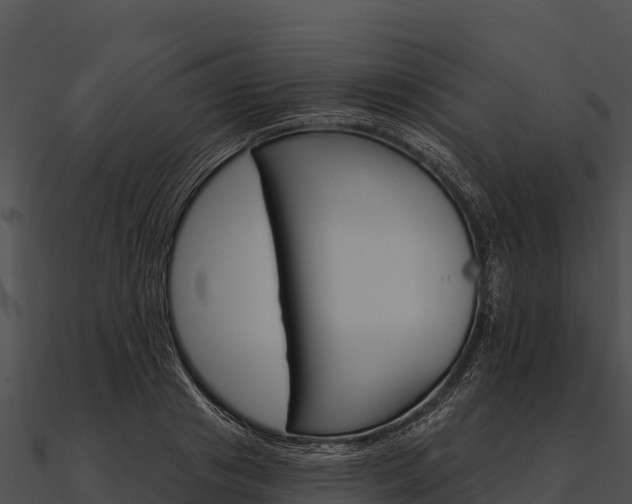 X0000090890841200708031050