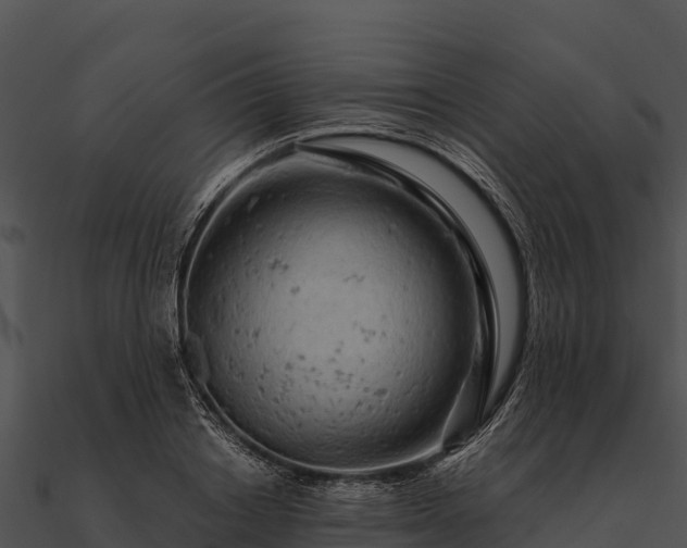 X0000090890842200708031050