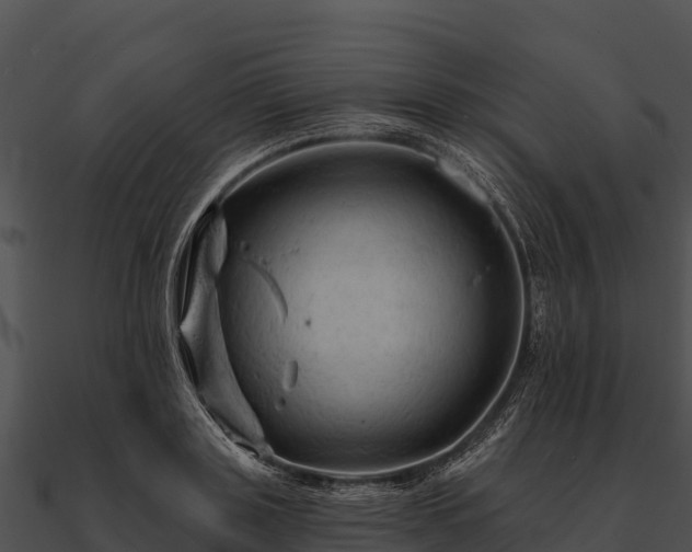 X0000090890843200708031050