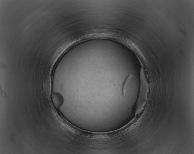 X0000090890844200708031050