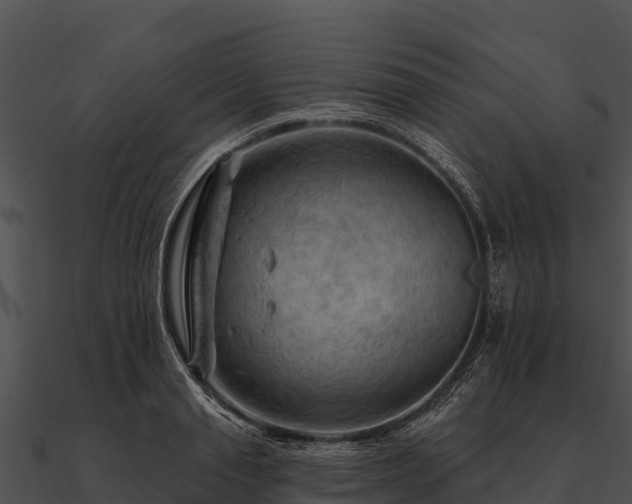 X0000090890845200708031050