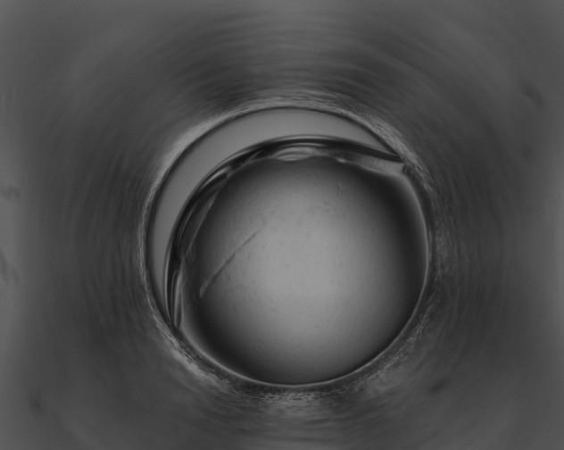 X0000090890846200708031050