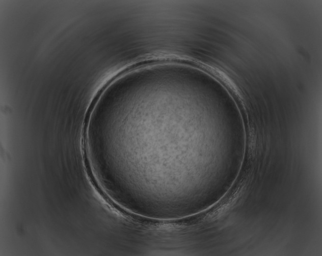 X0000090890847200708031050