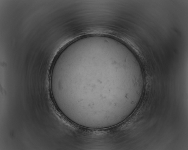 X0000090890848200708031050