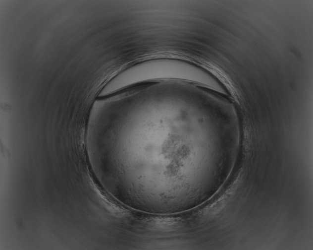 X0000090890849200708031050