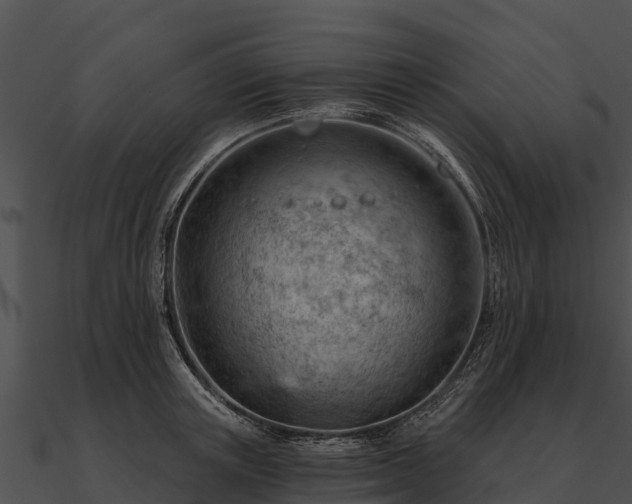 X0000090890851200708031051