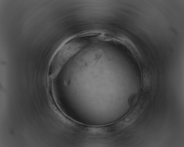 X0000090890852200708031051