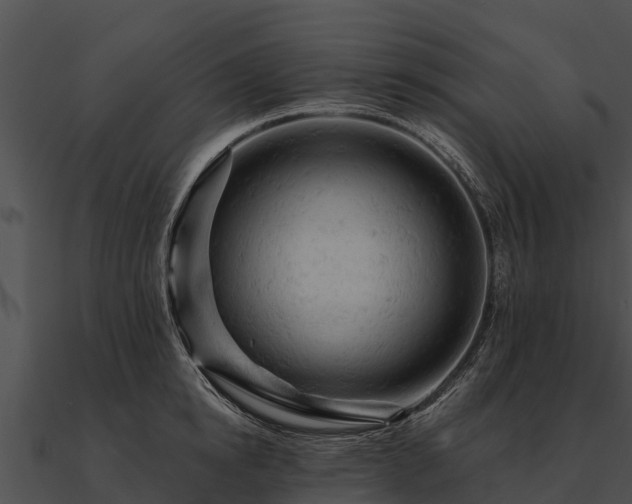 X0000090890854200708031051