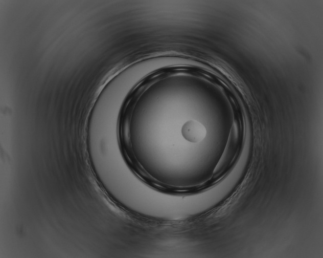 X0000090890858200708031051