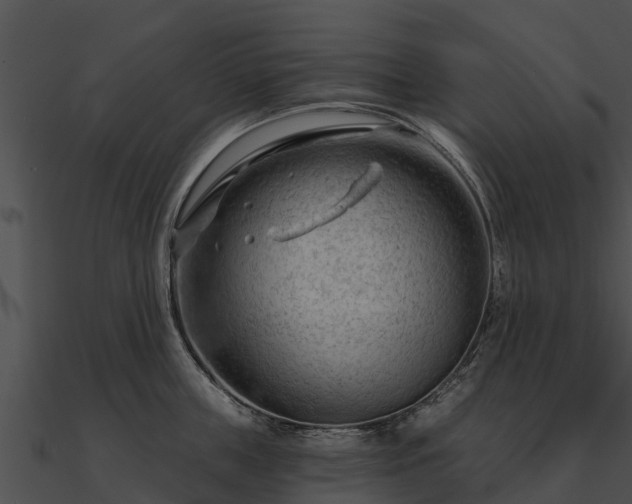 X0000090890859200708031051