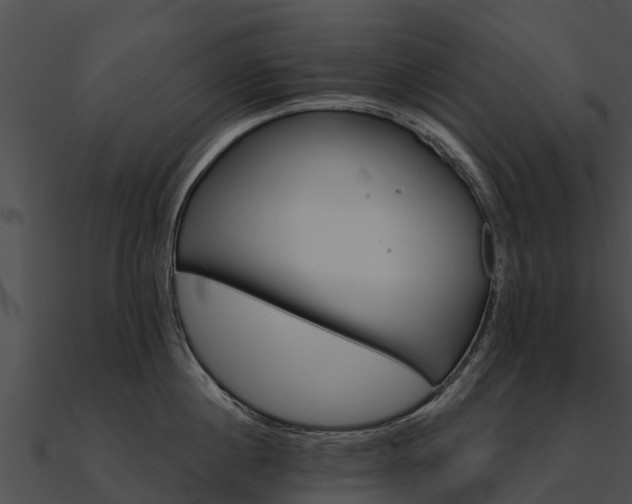 X0000090890860200708031051