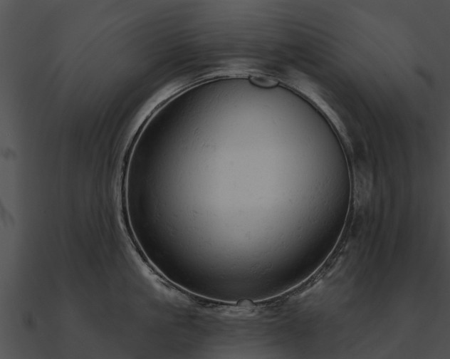 X0000090890861200708031051