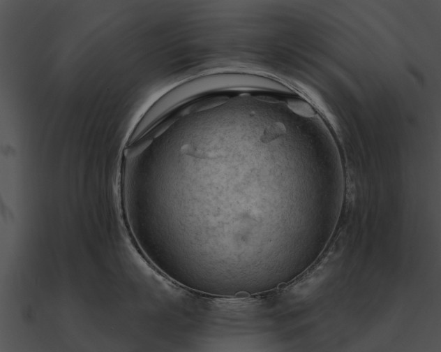 X0000090890863200708031051