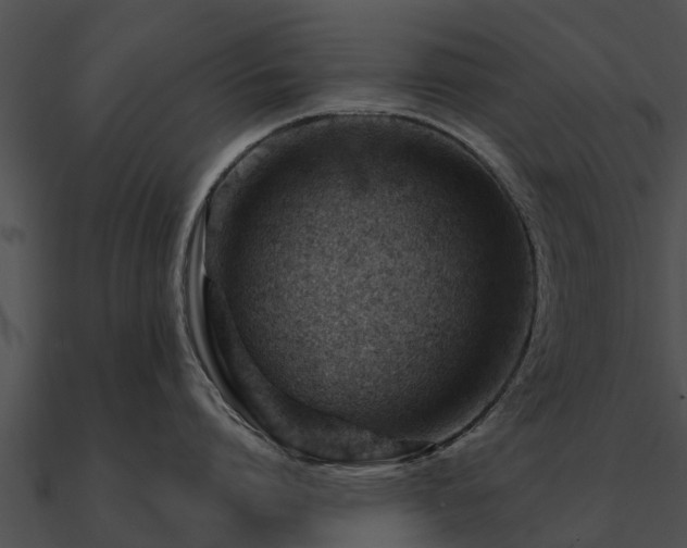 X0000090890864200708031051