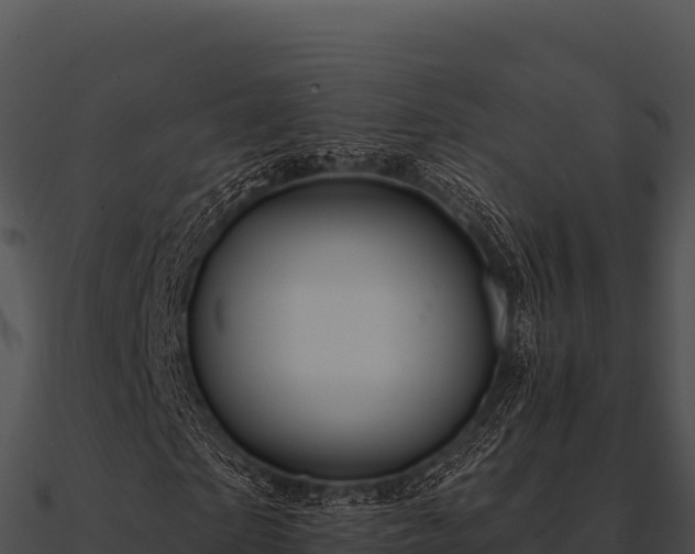 X0000090890865200708031050