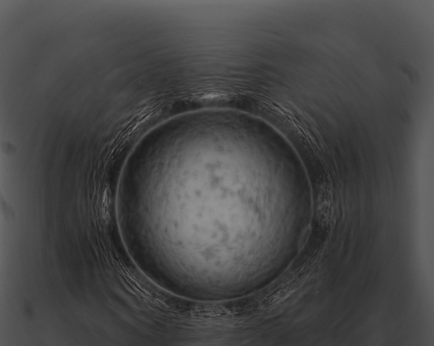 X0000090890866200708031050