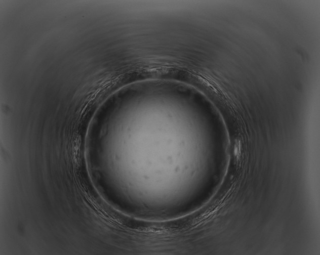 X0000090890867200708031050