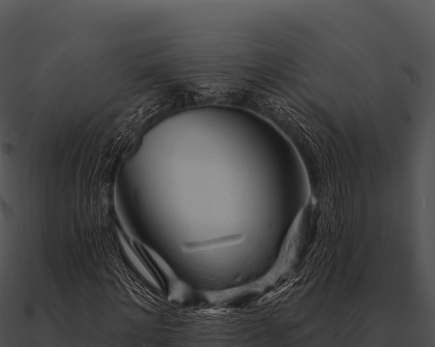 X0000090890868200708031050