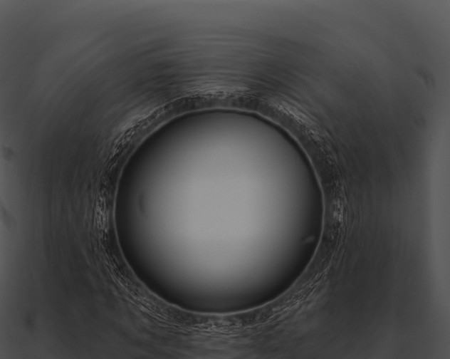 X0000090890869200708031050