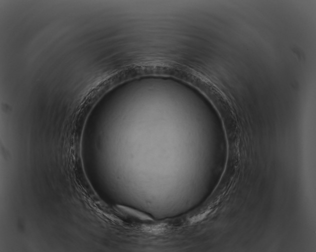 X0000090890870200708031050