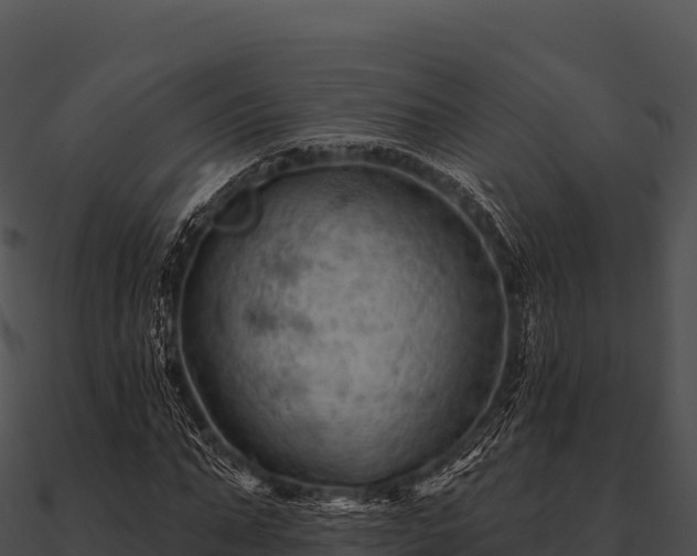 X0000090890871200708031050