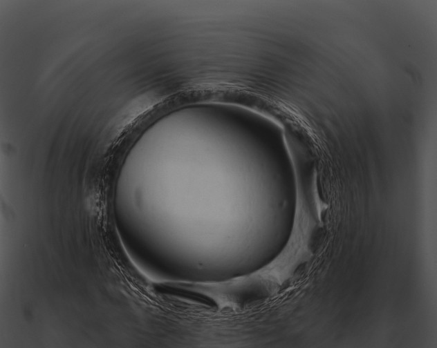 X0000090890872200708031050