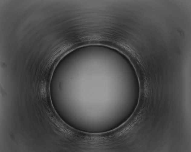 X0000090890873200708031050