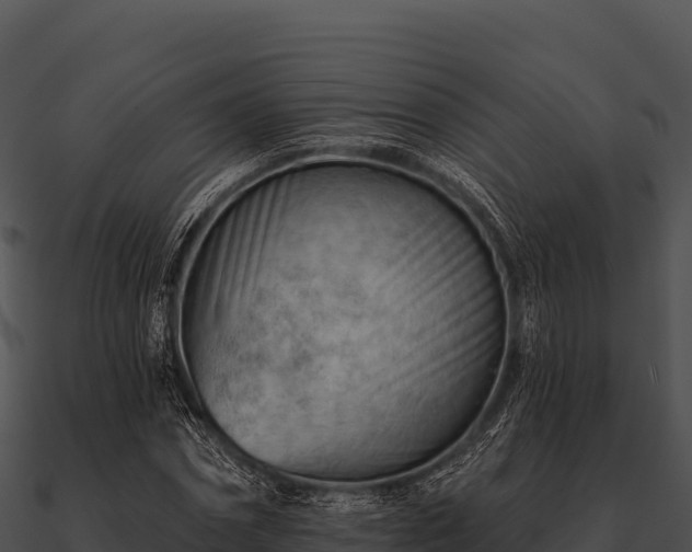 X0000090890874200708031050