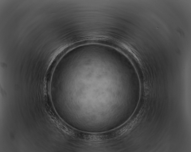 X0000090890875200708031050