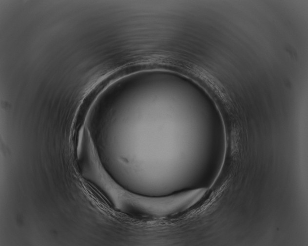 X0000090890876200708031050