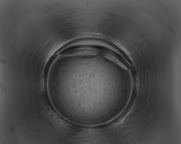 X0000090890877200708031050