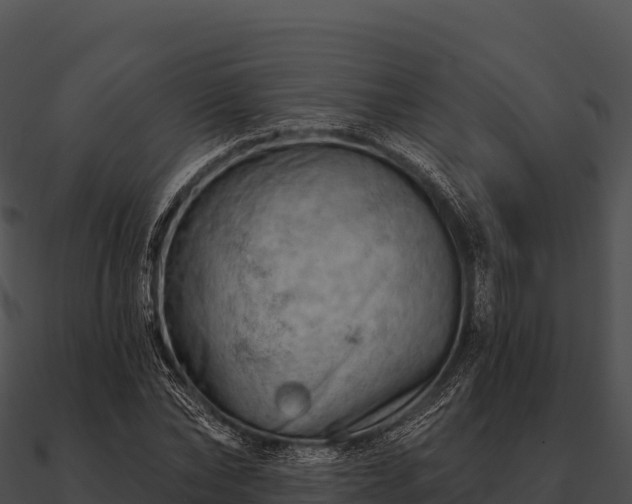 X0000090890878200708031050