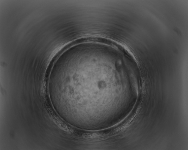 X0000090890879200708031050