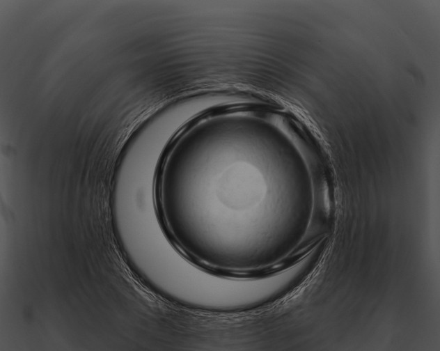 X0000090890881200708031050