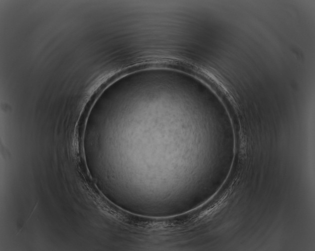 X0000090890883200708031050