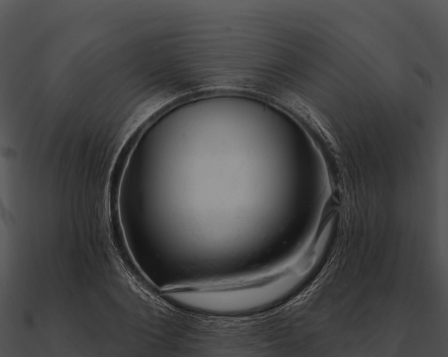 X0000090890884200708031050