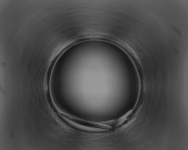 X0000090890885200708031050