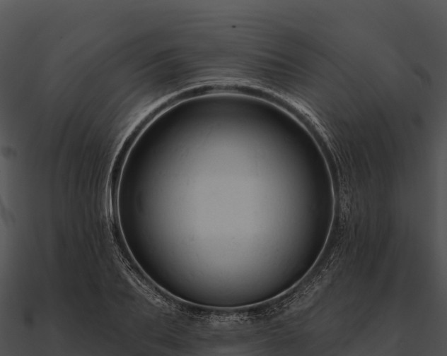 X0000090890887200708031050