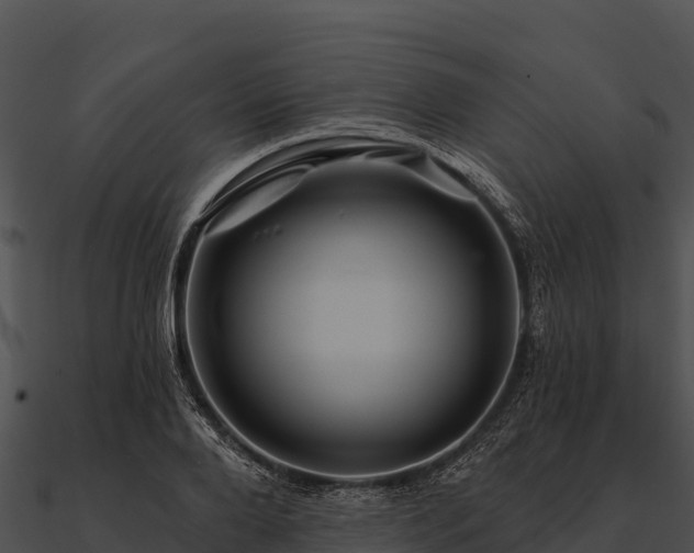 X0000090890888200708031050