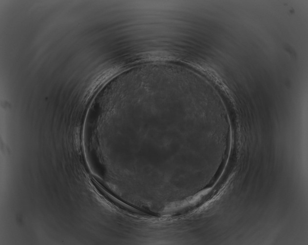 X0000090890889200708031050