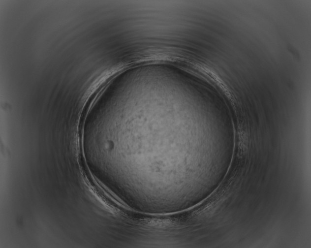 X0000090890890200708031050