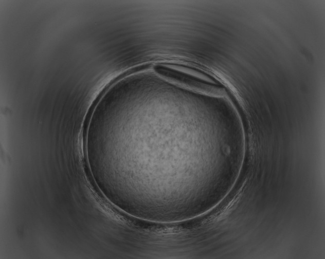 X0000090890891200708031050